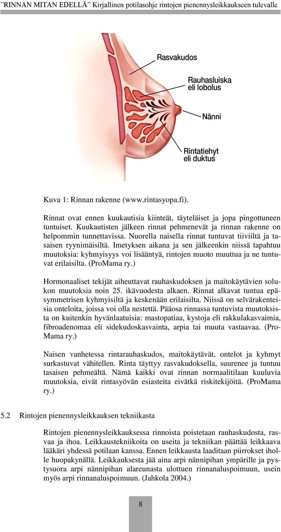 Imetyksen aikana ja sen jälkeenkin niissä tapahtuu muutoksia: kyhmyisyys voi lisääntyä, rintojen muoto muuttua ja ne tuntuvat erilaisilta. (ProMama ry.