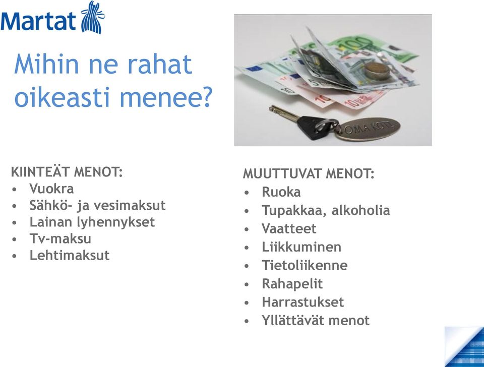 lyhennykset Tv-maksu Lehtimaksut MUUTTUVAT MENOT: Ruoka