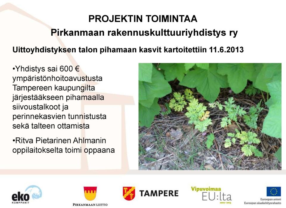 2013 Yhdistys sai 600 ympäristönhoitoavustusta Tampereen kaupungilta järjestääkseen