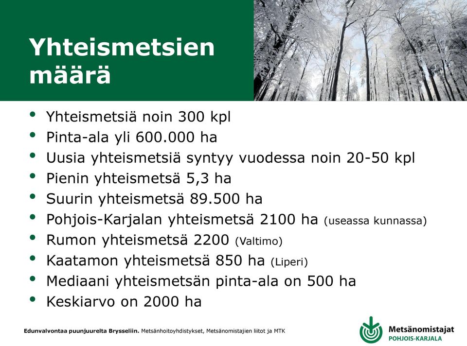 yhteismetsä 89.