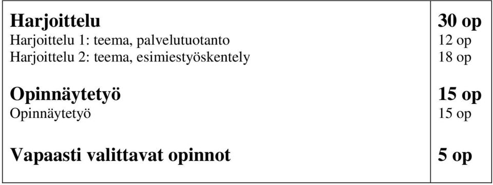 esimiestyöskentely Opinnäytetyö