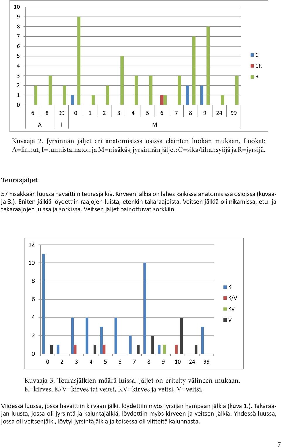 Kirveen jälkiä on lähes kaikissa anatomisissa osioissa (kuvaaja 3.). Eniten jälkiä löydettiin raajojen luista, etenkin takaraajoista.