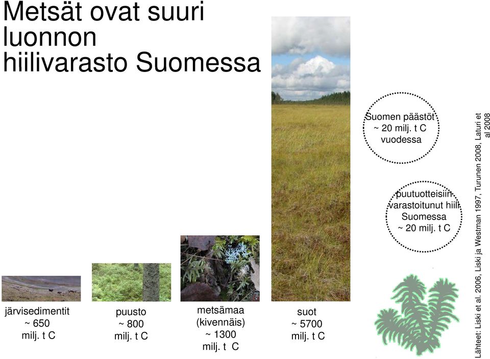 vuodessa puutuotteisiin varastoitunut hiili Suomessa ~ 20 Turunen 200