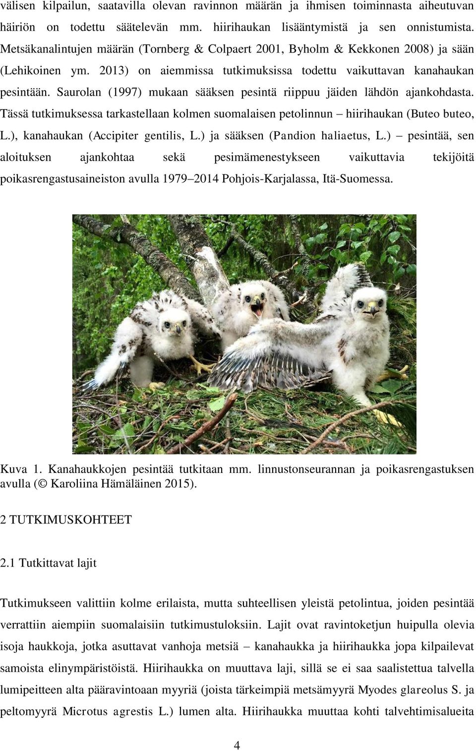 Saurolan (1997) mukaan sääksen pesintä riippuu jäiden lähdön ajankohdasta. Tässä tutkimuksessa tarkastellaan kolmen suomalaisen petolinnun hiirihaukan (Buteo buteo, L.
