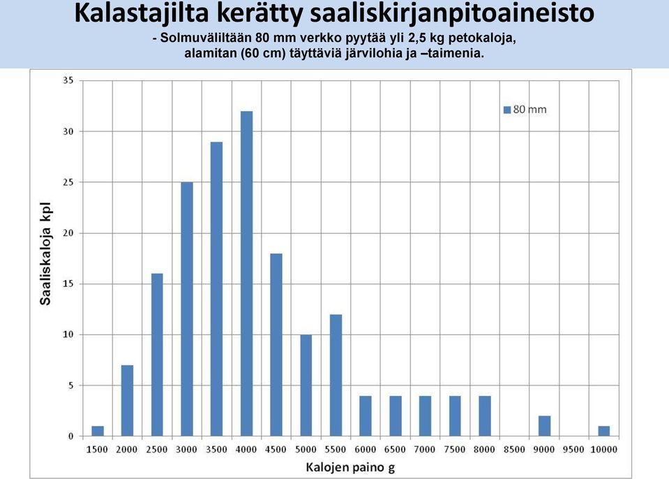 Solmuväliltään 80 mm verkko pyytää yli