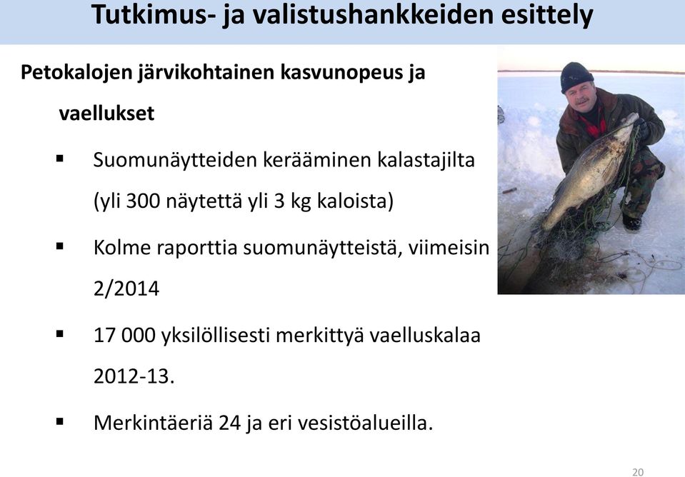 kg kaloista) Kolme raporttia suomunäytteistä, viimeisin 2/2014 17 000