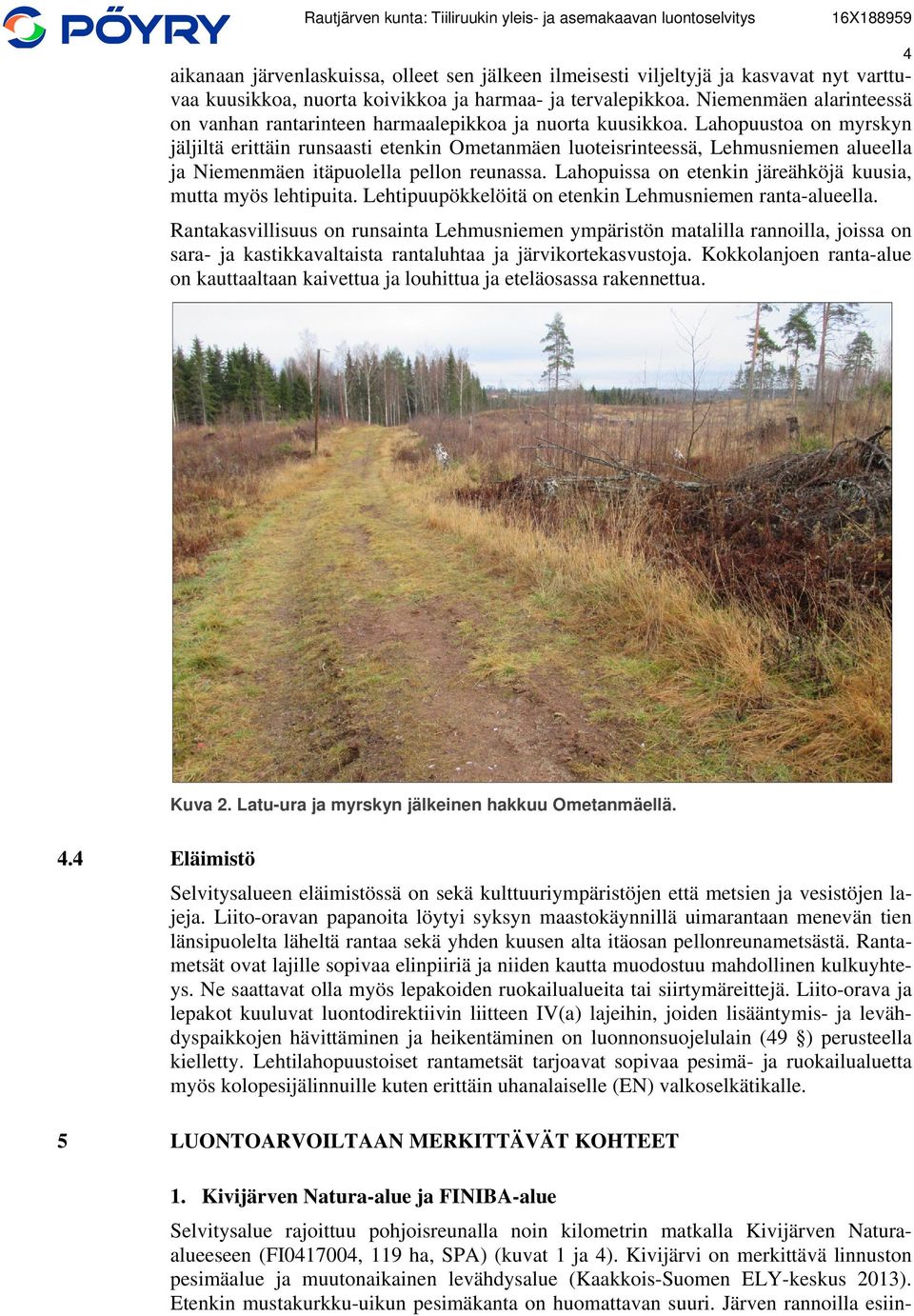 Lahopuustoa on myrskyn jäljiltä erittäin runsaasti etenkin Ometanmäen luoteisrinteessä, Lehmusniemen alueella ja Niemenmäen itäpuolella pellon reunassa.