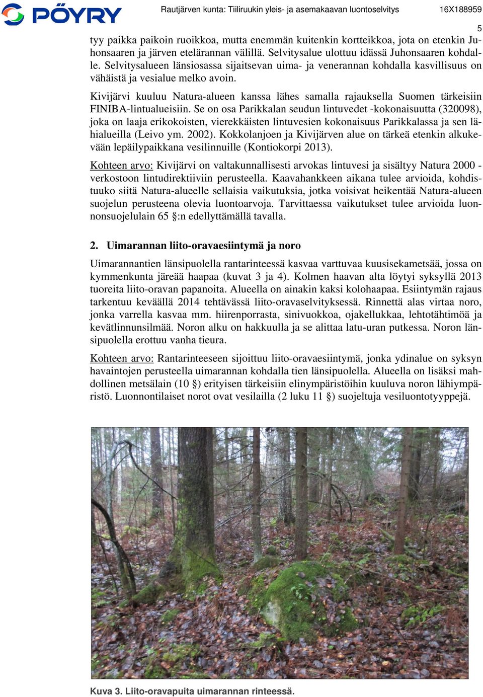 Kivijärvi kuuluu Natura-alueen kanssa lähes samalla rajauksella Suomen tärkeisiin FINIBA-lintualueisiin.