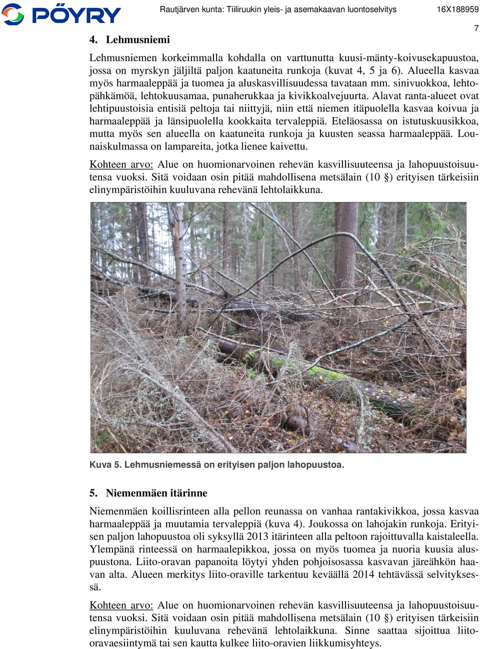 Alavat ranta-alueet ovat lehtipuustoisia entisiä peltoja tai niittyjä, niin että niemen itäpuolella kasvaa koivua ja harmaaleppää ja länsipuolella kookkaita tervaleppiä.