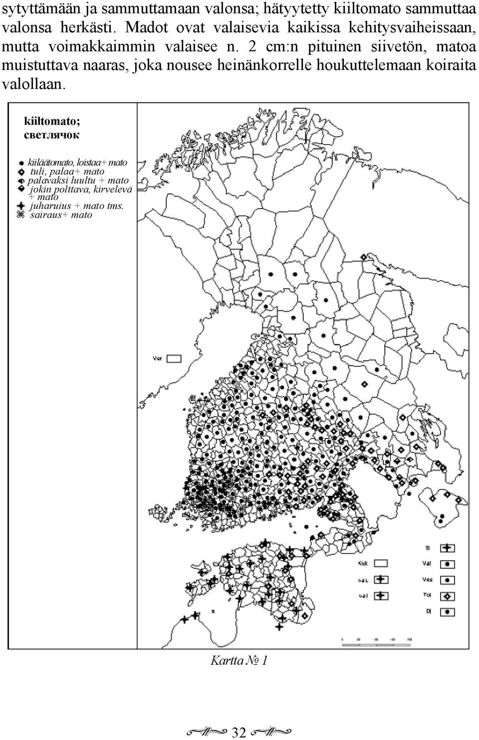 2 cm:n pituinen siivetön, matoa muistuttava naaras, joka nousee heinänkorrelle houkuttelemaan koiraita valollaan.