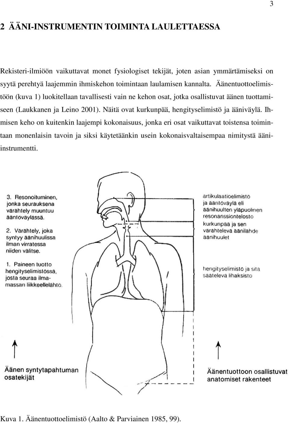 Äänentuottoelimistöön (kuva 1) luokitellaan tavallisesti vain ne kehon osat, jotka osallistuvat äänen tuottamiseen (Laukkanen ja Leino 2001).