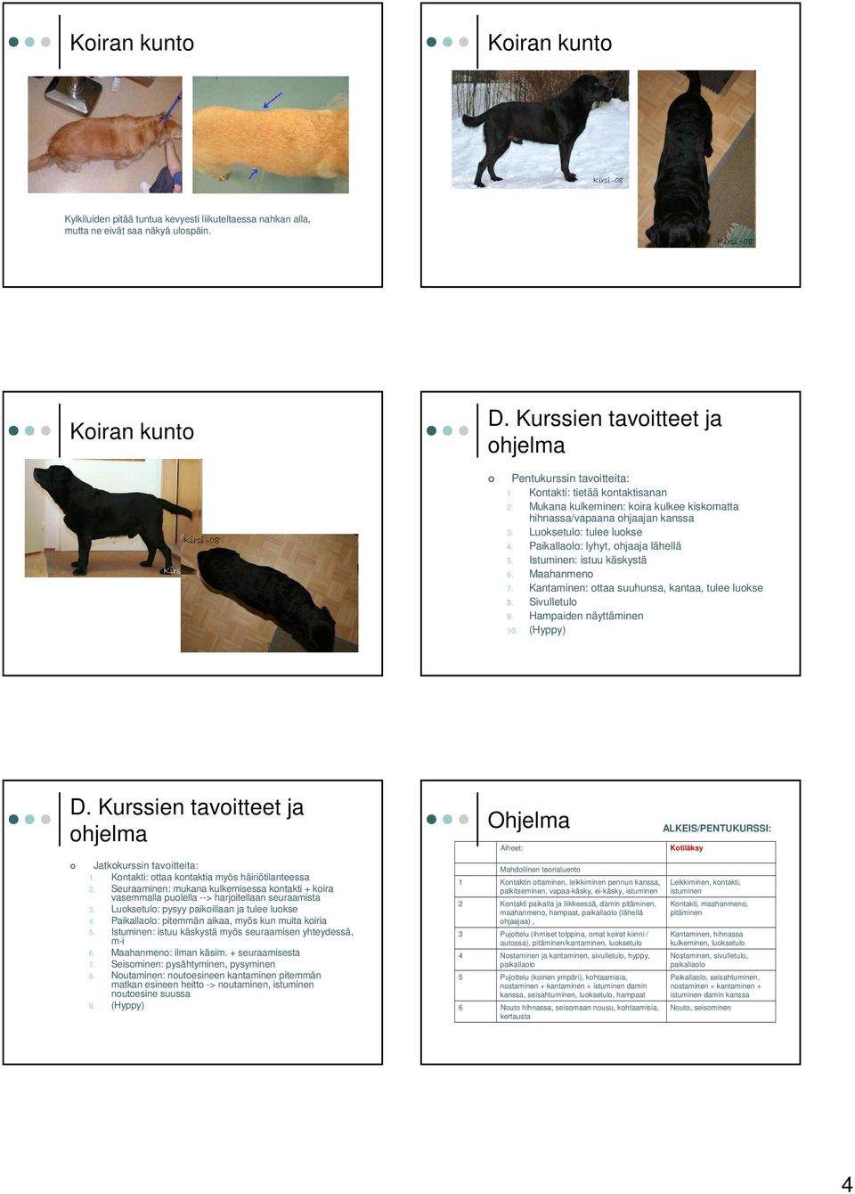 Maahanmeno 7. Kantaminen: ottaa suuhunsa, kantaa, tulee luokse 8. Sivulletulo 9. Hampaiden näyttäminen 0. (Hyppy) D. Kurssien tavoitteet ja ohjelma Jatkokurssin tavoitteita:.