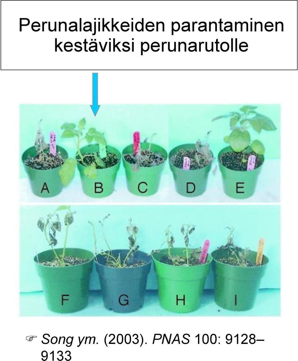 kestäviksi