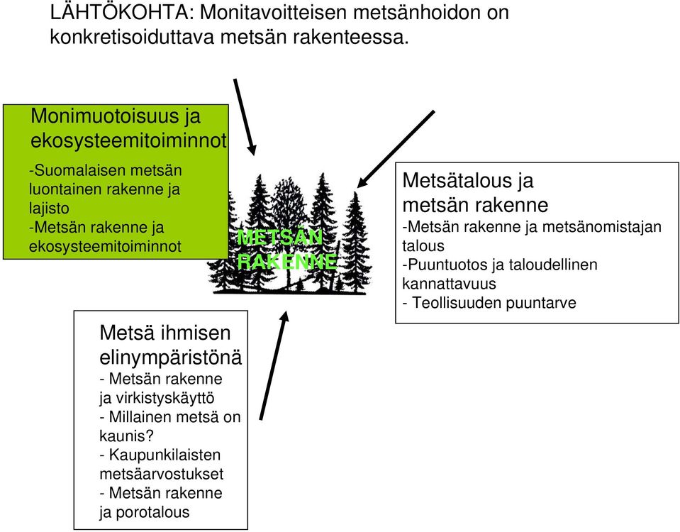 ihmisen elinympäristönä - Metsän rakenne ja virkistyskäyttö - Millainen metsä on kaunis?