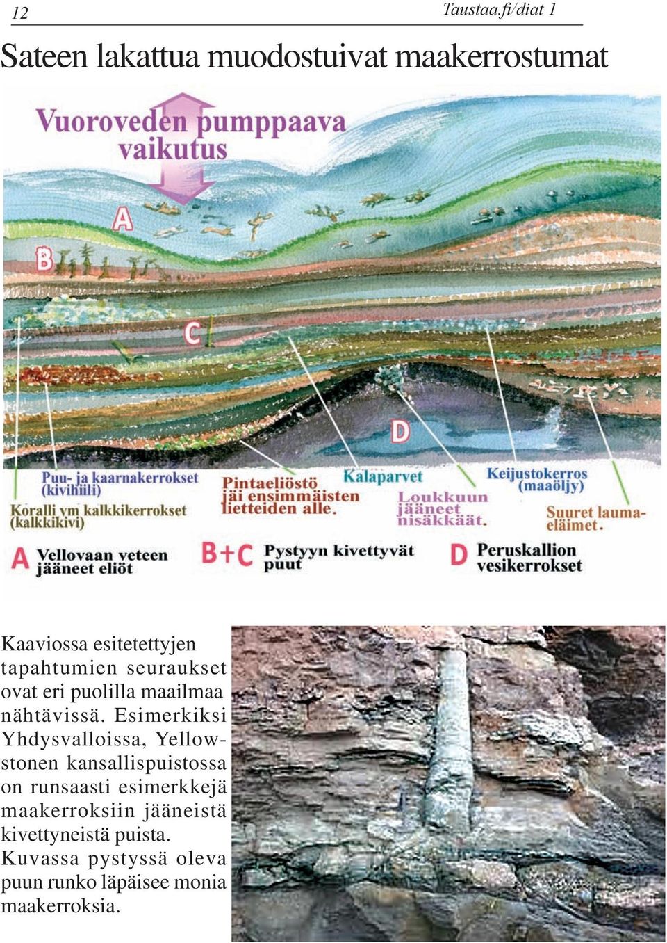 tapahtumien seuraukset ovat eri puolilla maailmaa nähtävissä.