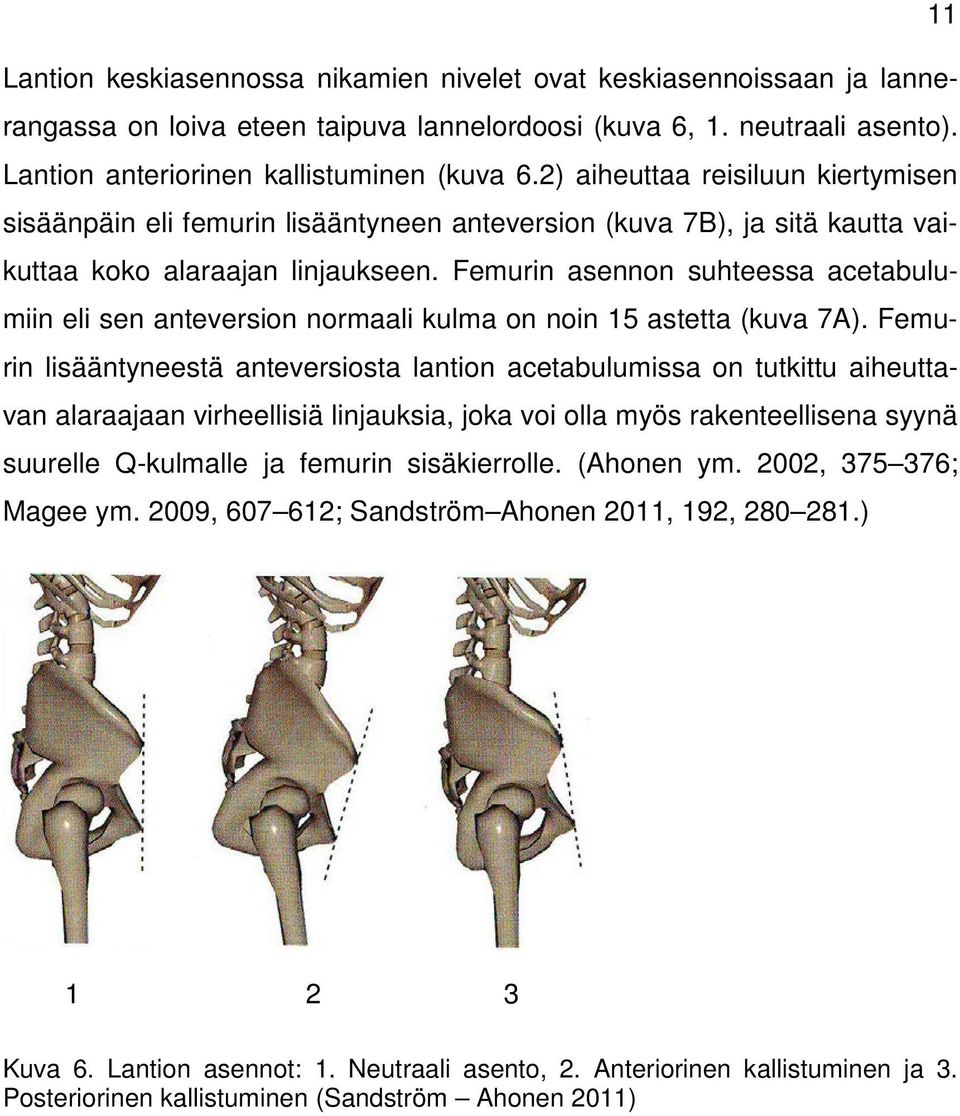 Femurin asennon suhteessa acetabulumiin eli sen anteversion normaali kulma on noin 15 astetta (kuva 7A).