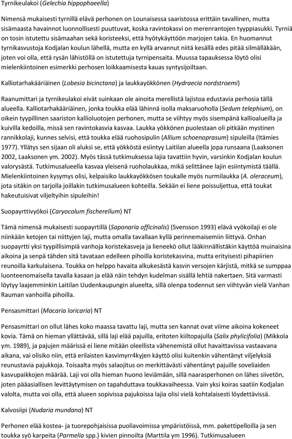 En huomannut tyrnikasvustoja Kodjalan koulun lähellä, mutta en kyllä arvannut niitä kesällä edes pitää silmälläkään, joten voi olla, että rysän lähistöllä on istutettuja tyrnipensaita.