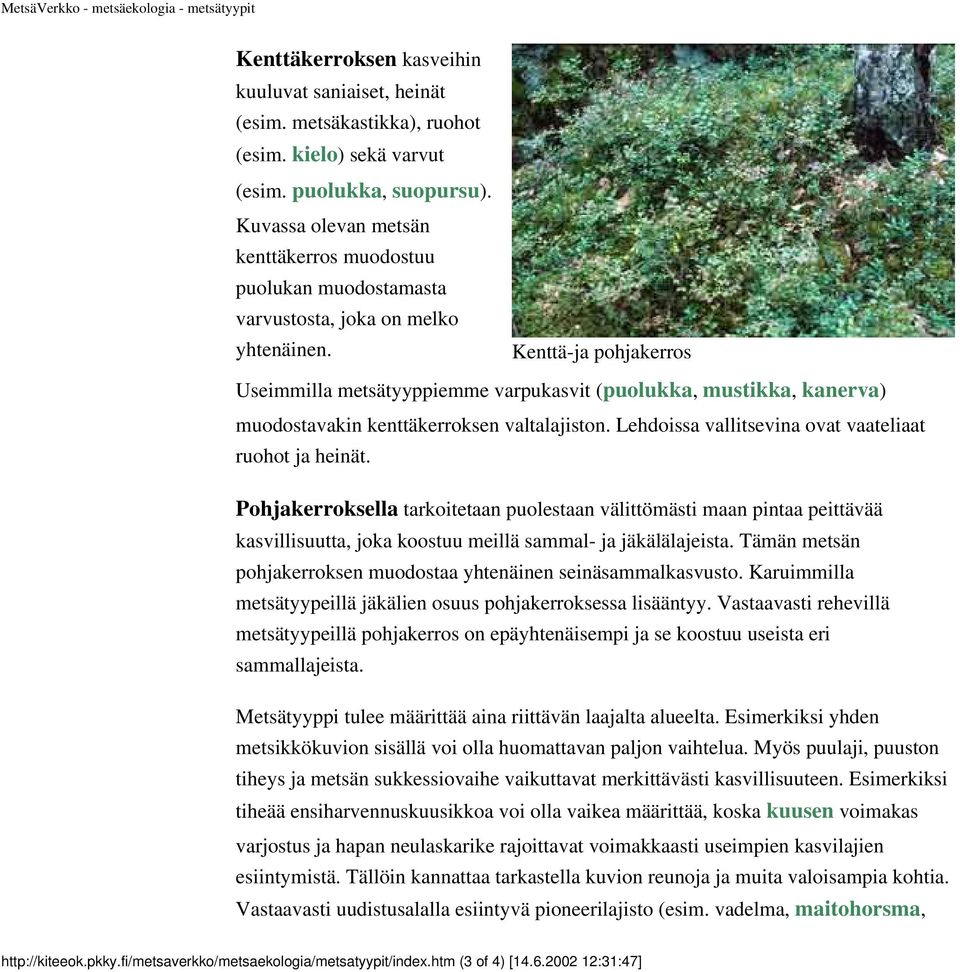 Kenttä-ja pohjakerros Useimmilla metsätyyppiemme varpukasvit (puolukka, mustikka, kanerva) muodostavakin kenttäkerroksen valtalajiston. Lehdoissa vallitsevina ovat vaateliaat ruohot ja heinät.