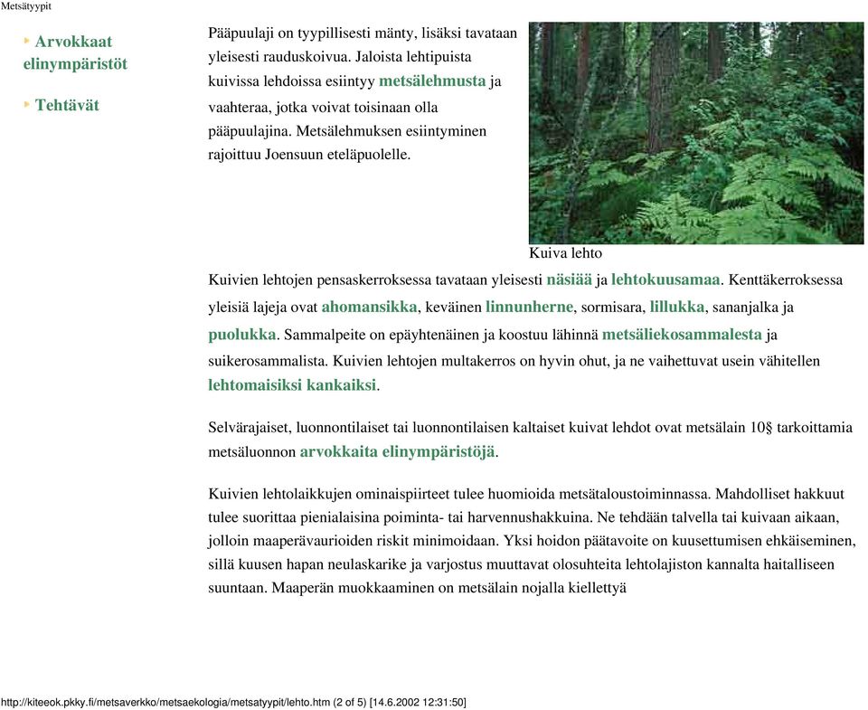 Kuiva lehto Kuivien lehtojen pensaskerroksessa tavataan yleisesti näsiää ja lehtokuusamaa.