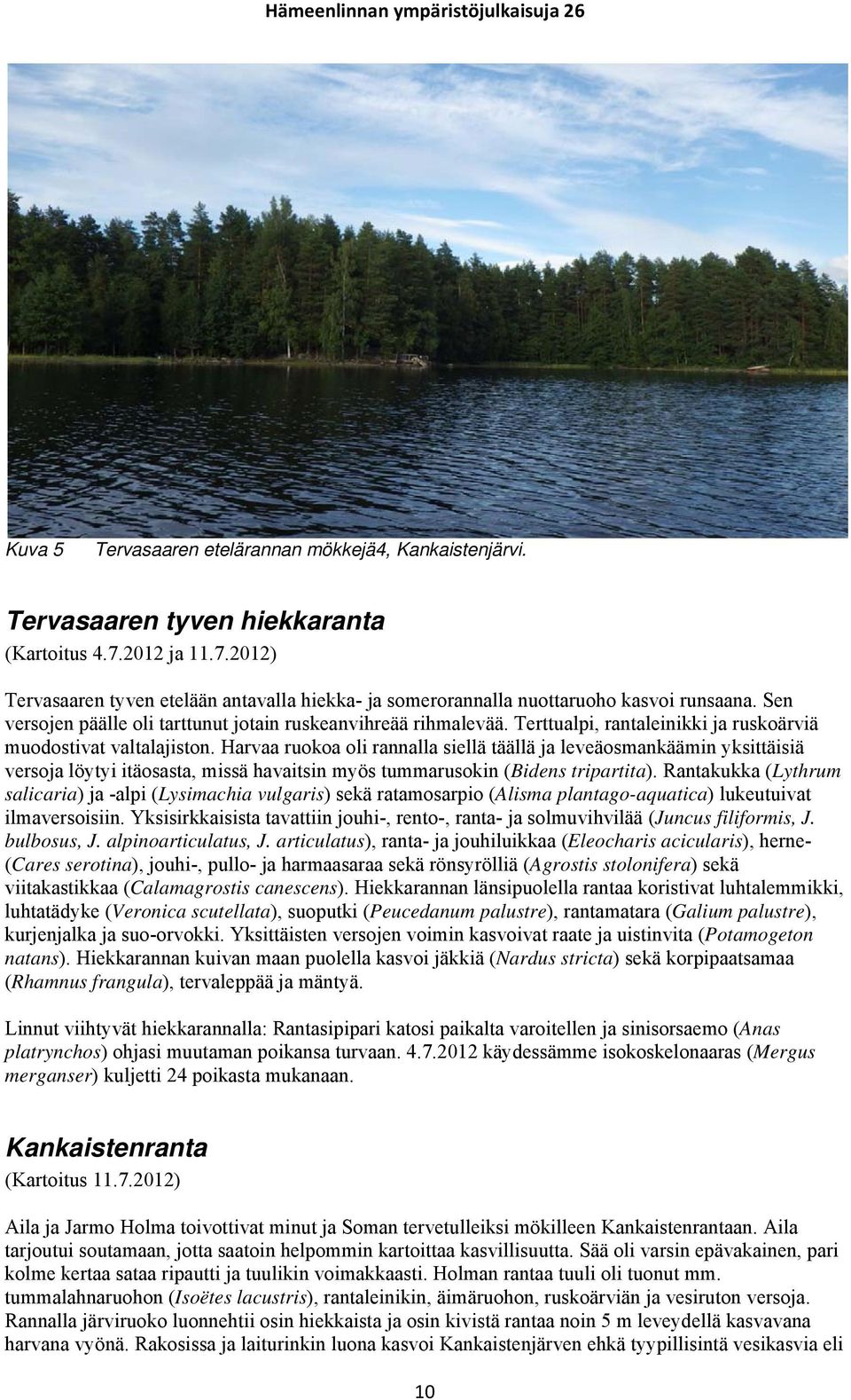 Harvaa ruokoa oli rannalla siellä täällä ja leveäosmankäämin yksittäisiä versoja löytyi itäosasta, missä havaitsin myös tummarusokin (Bidens tripartita).