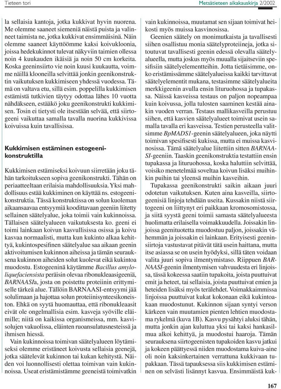 Koska geeninsiirto vie noin kuusi kuukautta, voimme näillä klooneilla selvittää jonkin geenikonstruktin vaikutuksen kukkimiseen yhdessä vuodessa. Tämä on valtava etu, sillä esim.