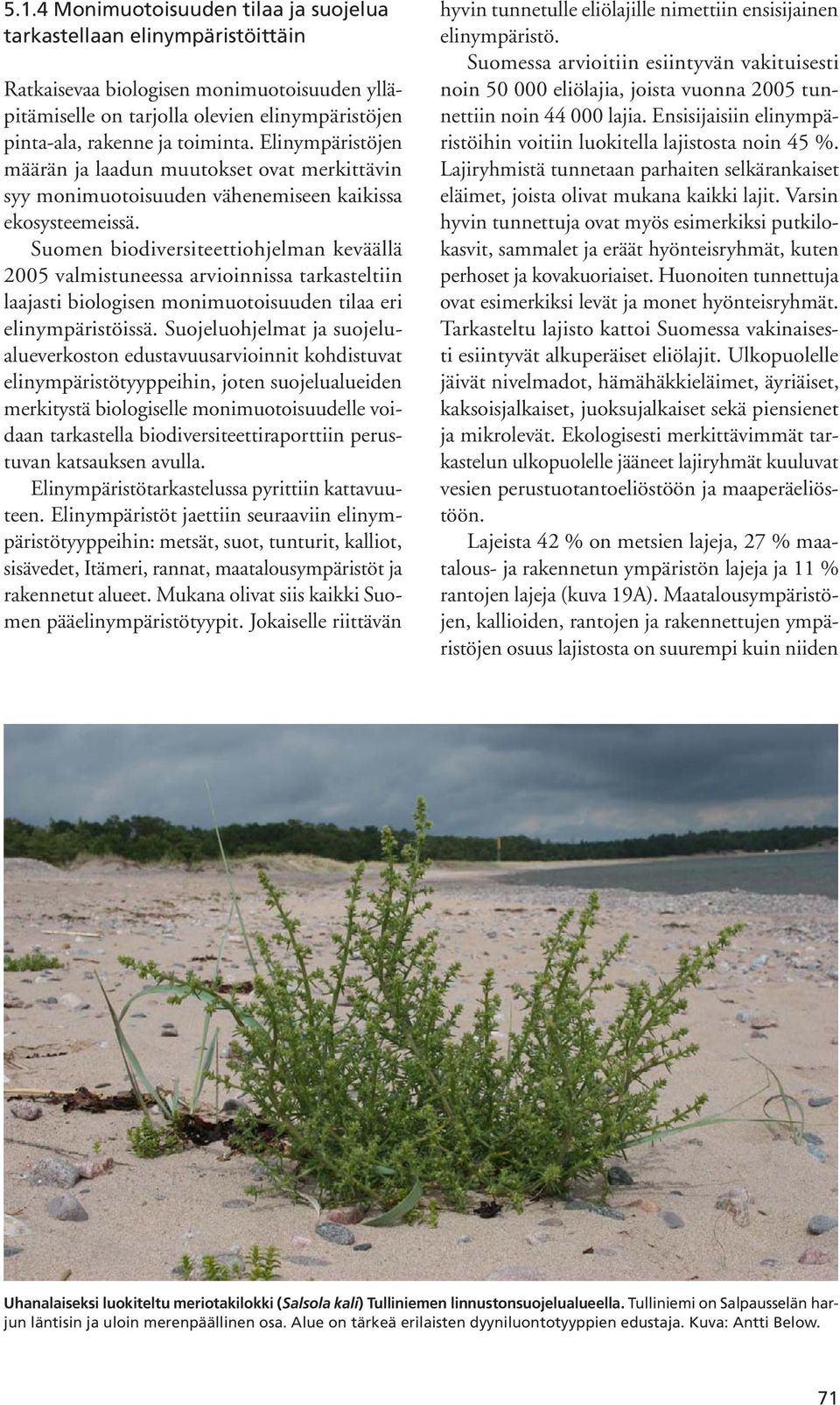 Suomen biodiversiteettiohjelman keväällä 2005 valmistuneessa arvioinnissa tarkasteltiin laajasti biologisen monimuotoisuuden tilaa eri elinympäristöissä.