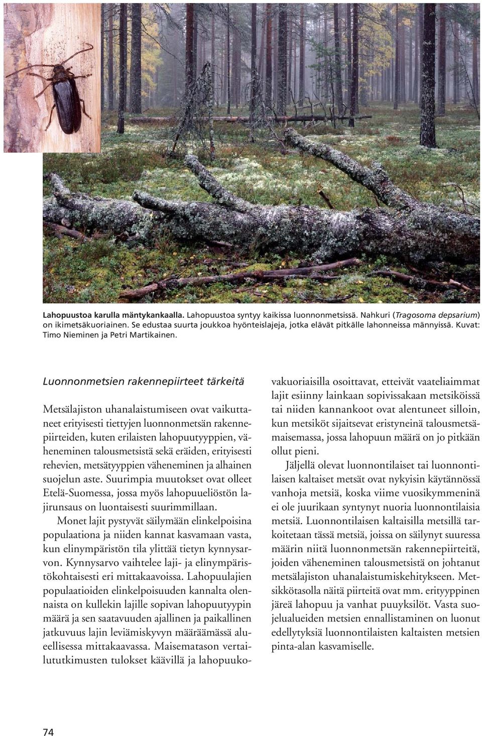 Luonnonmetsien rakennepiirteet tärkeitä Metsälajiston uhanalaistumiseen ovat vaikuttaneet erityisesti tiettyjen luonnonmetsän rakennepiirteiden, kuten erilaisten lahopuutyyppien, väheneminen
