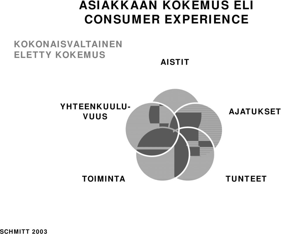 ELETTY KOKEMUS AISTIT YHTEENKUULU-