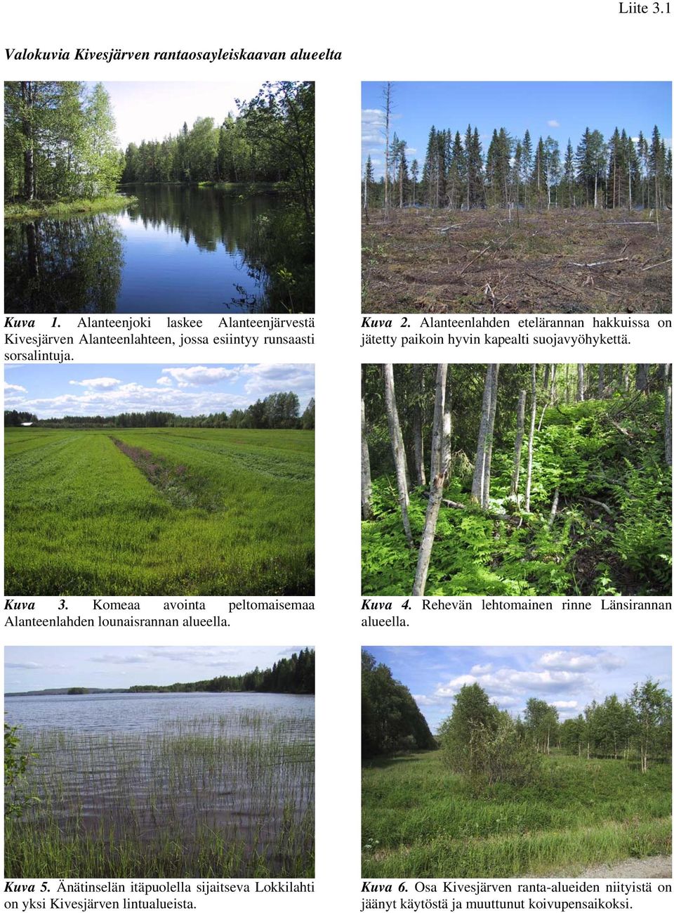Alanteenlahden etelärannan hakkuissa on jätetty paikoin hyvin kapealti suojavyöhykettä. Kuva 3.