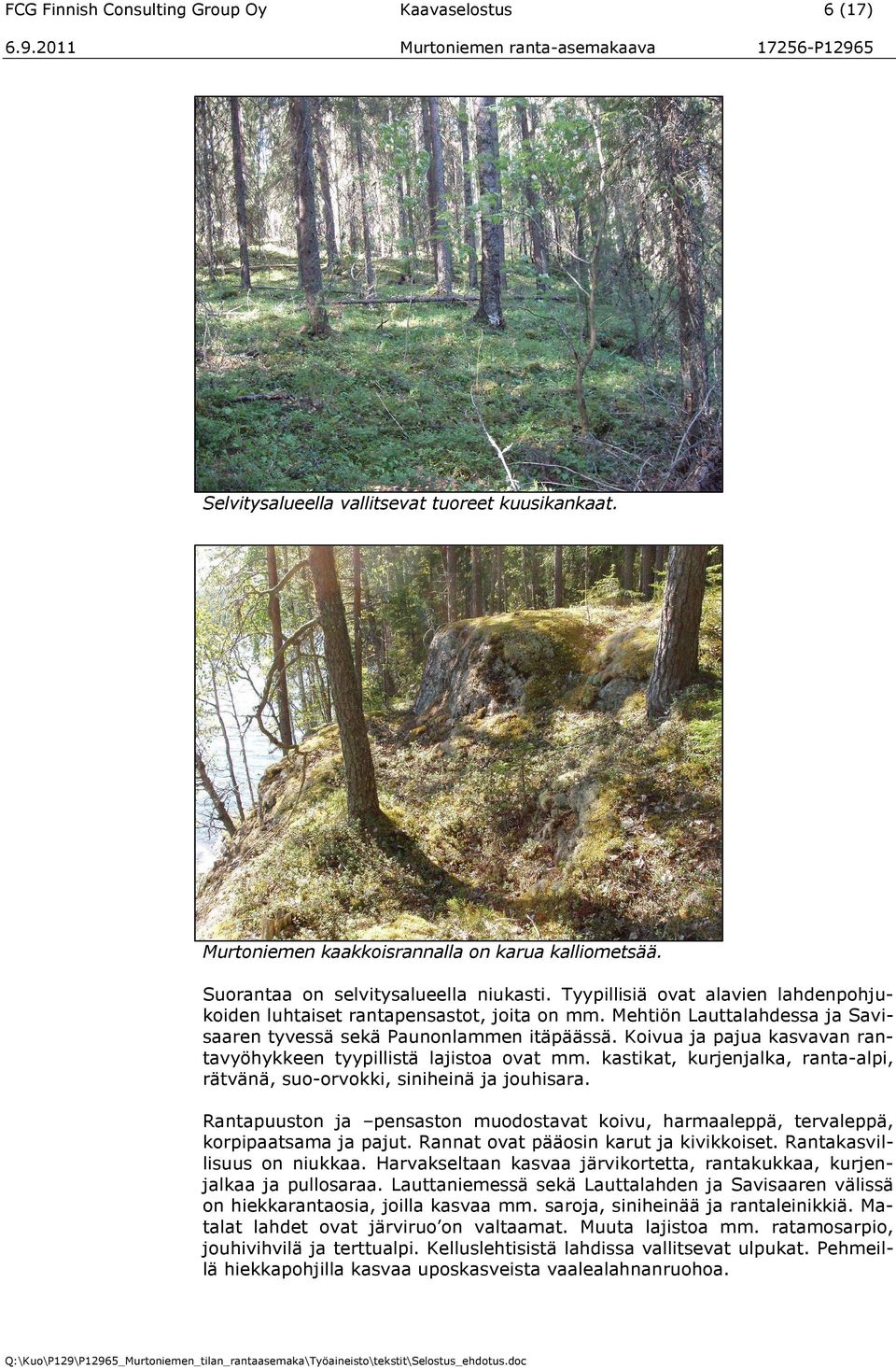 Koivua ja pajua kasvavan rantavyöhykkeen tyypillistä lajistoa ovat mm. kastikat, kurjenjalka, ranta-alpi, rätvänä, suo-orvokki, siniheinä ja jouhisara.