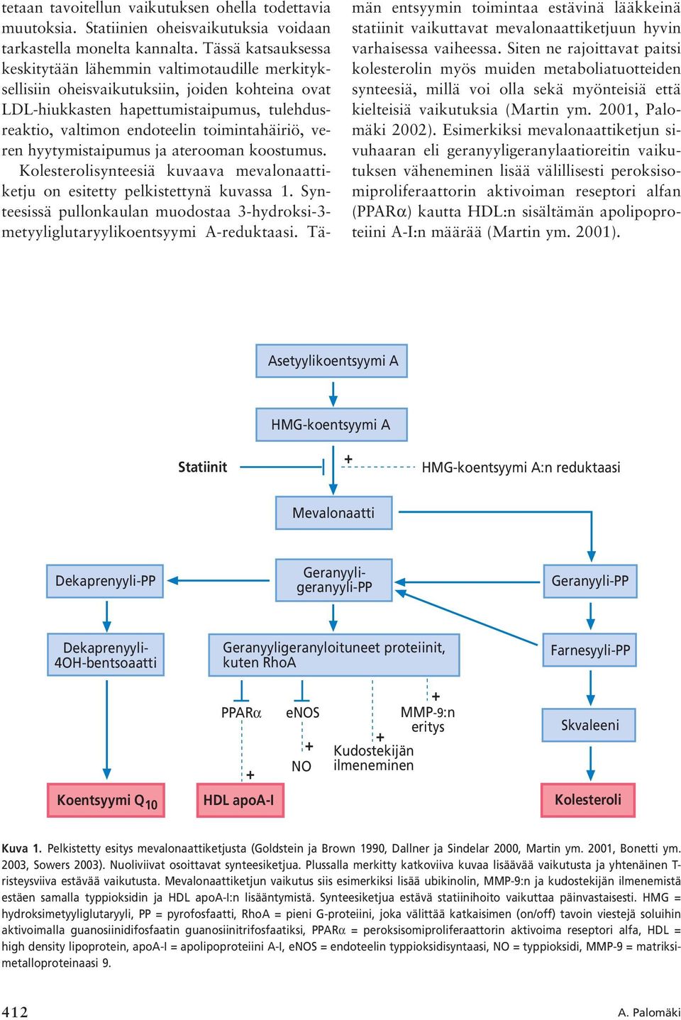toimintahäiriö, veren hyytymistaipumus ja aterooman koostumus. Kolesterolisynteesiä kuvaava mevalonaattiketju on esitetty pelkistettynä kuvassa 1.