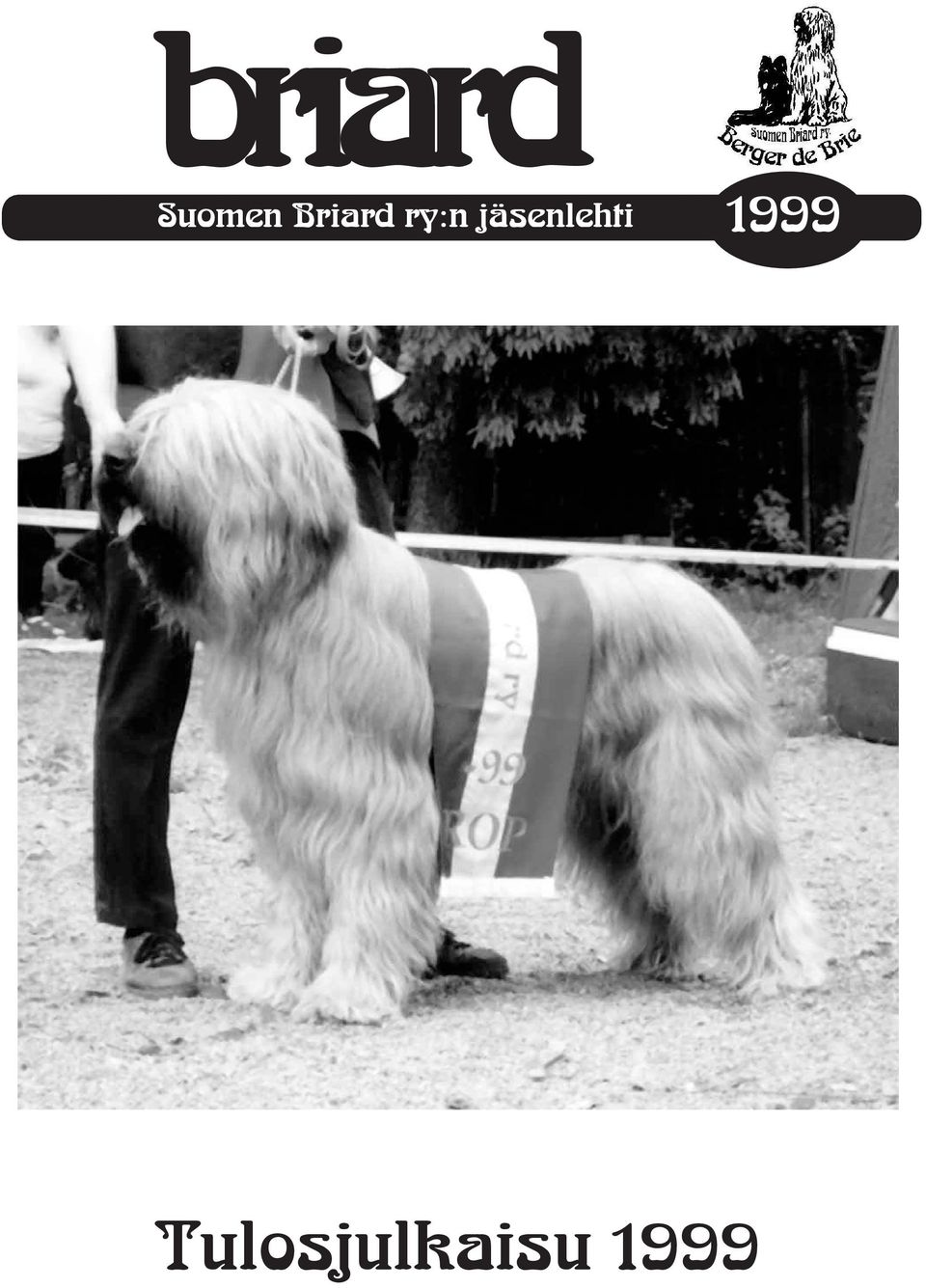 Briard