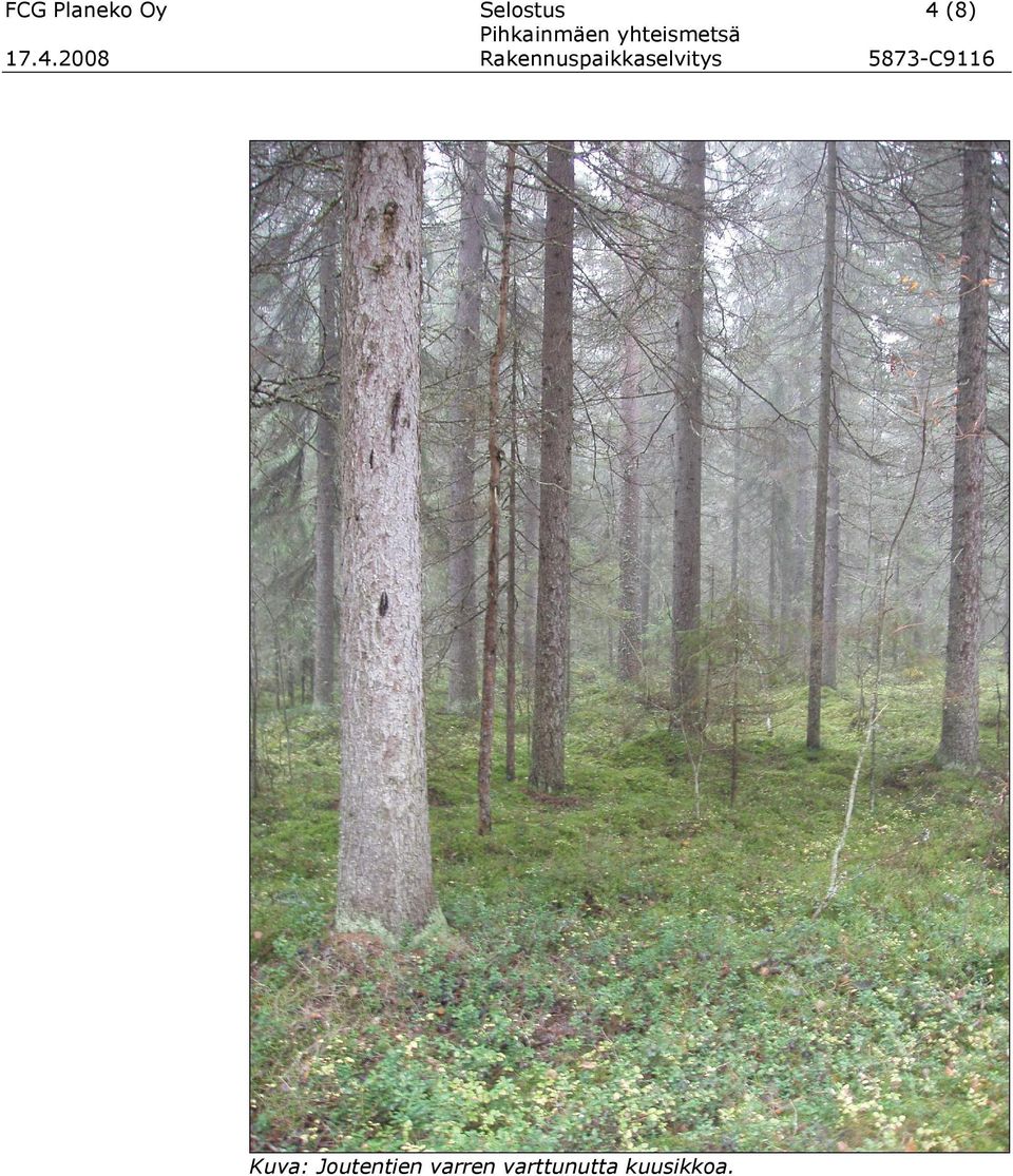Kuva: Joutentien