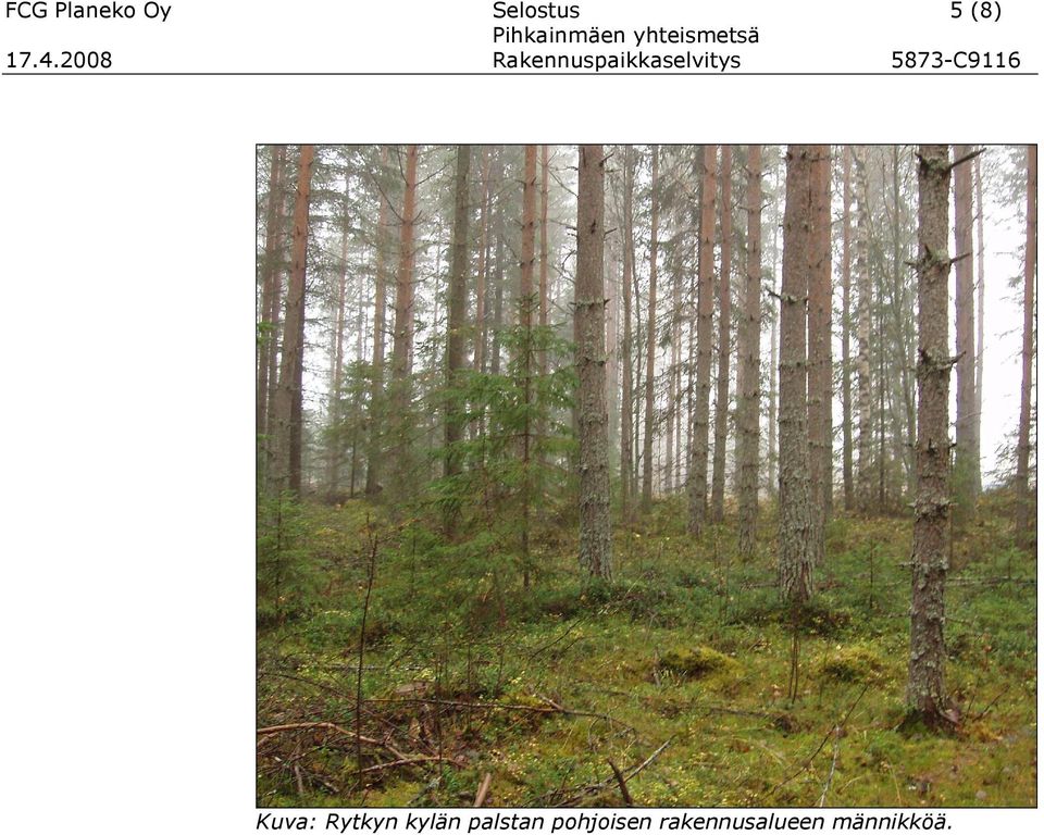 Rytkyn kylän palstan