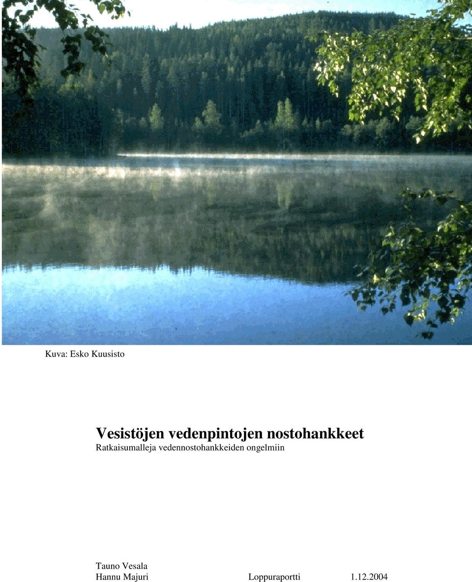 Ratkaisumalleja vedennostohankkeiden
