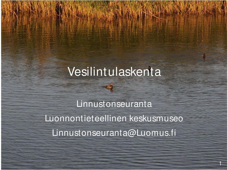 Luonnontieteellinen