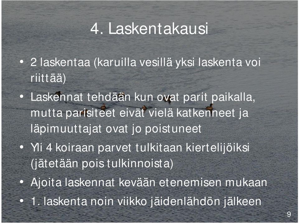 läpimuuttajat ovat jo poistuneet Yli 4 koiraan parvet tulkitaan kiertelijöiksi (jätetään