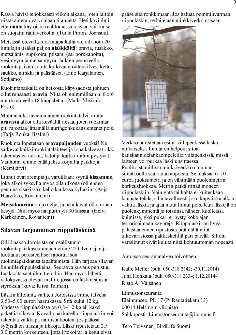 metsämyyrä. Jälkien perusteella ruokintapaikan kautta kulkivat ajoittain ilves, kettu, saukko, minkki ja päästäiset.