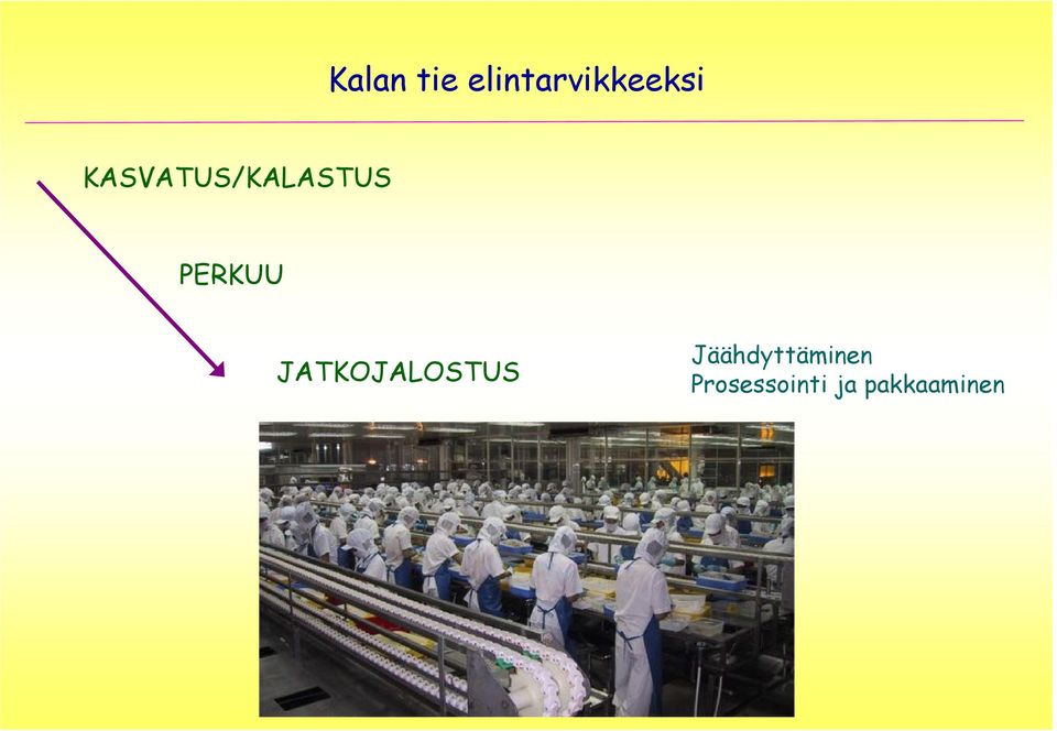 JATKOJALOSTUS