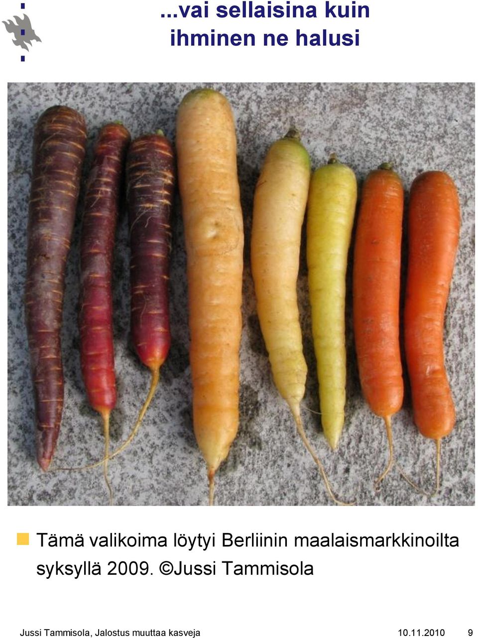 maalaismarkkinoilta syksyllä 2009.