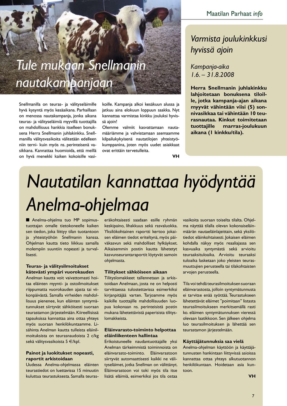 Snellmanilla välitysvasikoita välitetään edelleen niin terni- kuin myös ns. perinteisenä vasikkana. Kannattaa huomioida, että meillä on hyvä menekki kaiken kokoisille vasikoille.