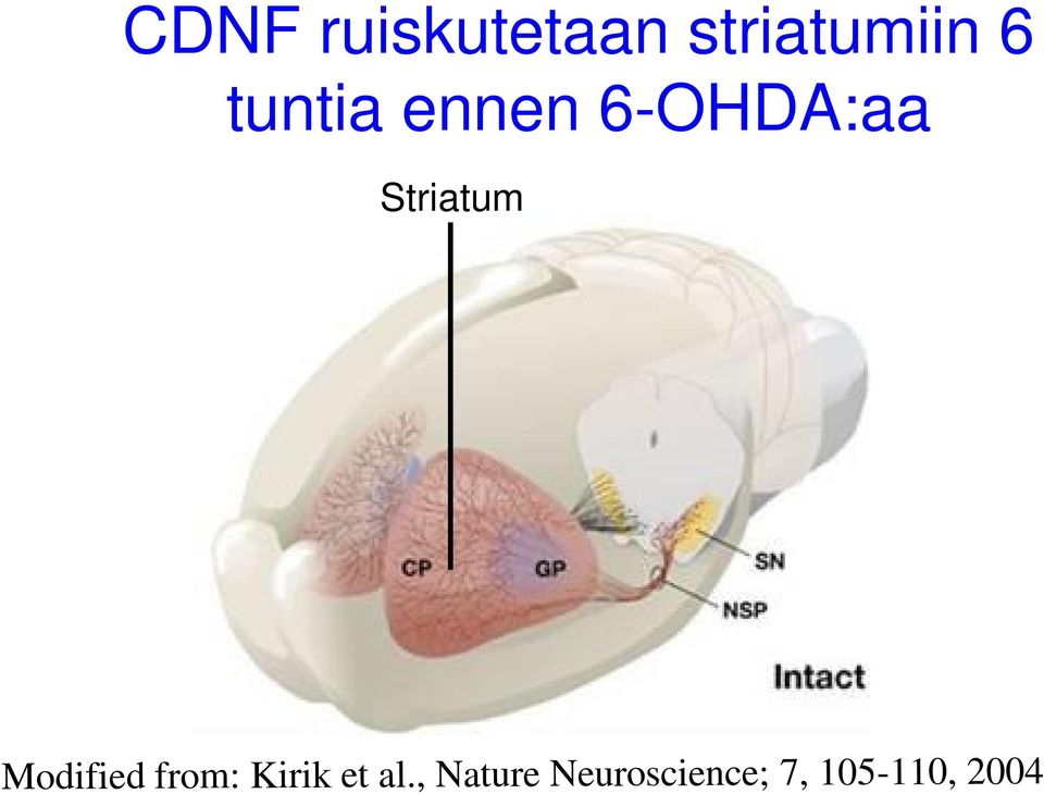 Modified from: Kirik et al.