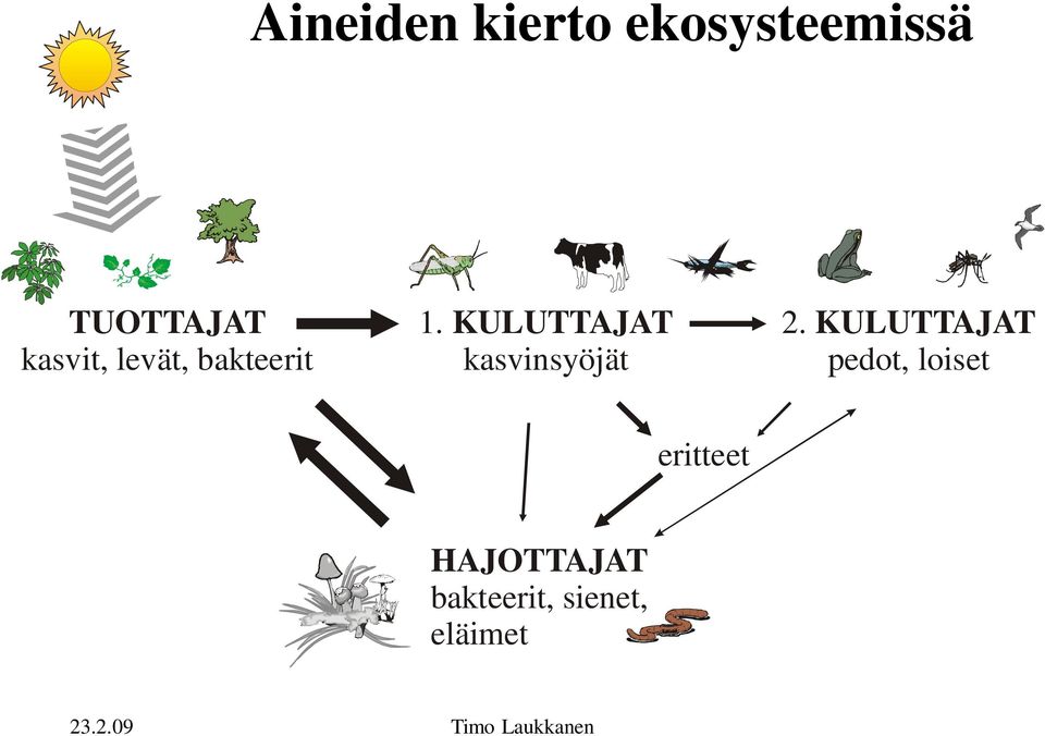 kasvinsyöjät KULUTTAJAT pedot, loiset eritteet