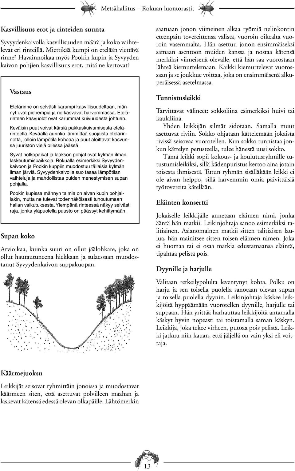 Vastaus Etelärinne on selvästi karumpi kasvillisuudeltaan, männyt ovat pienempiä ja ne kasvavat harvemmassa. Etelärinteen kasvuolot ovat karummat kuivuudesta johtuen.