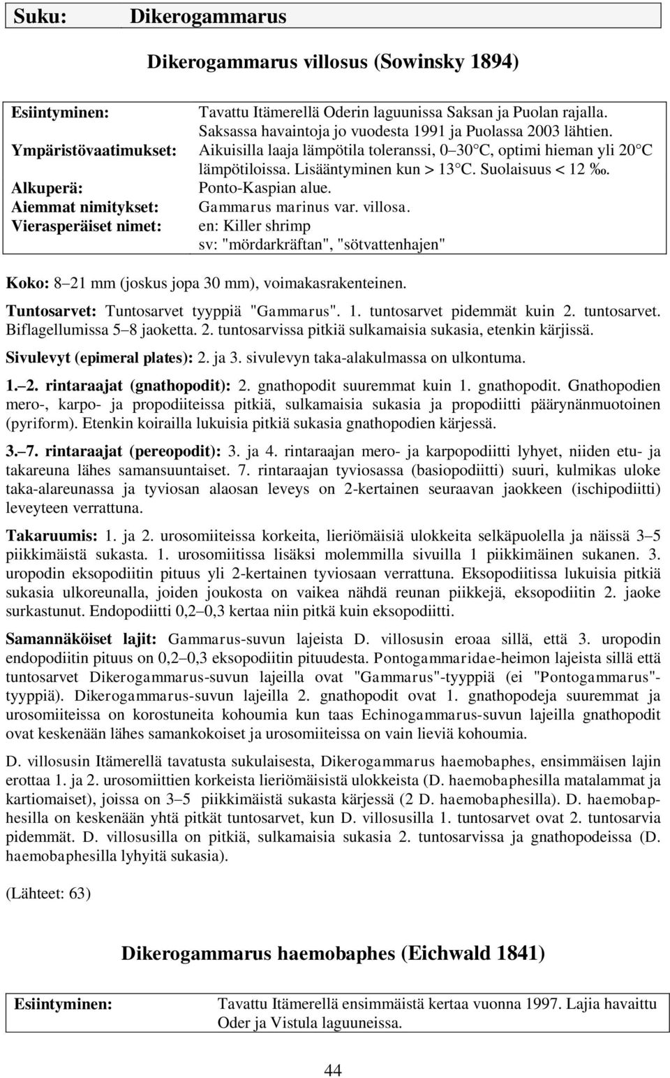 Aiemmat nimitykset: Vierasperäiset nimet: Koko: 8 21 mm (joskus jopa 30 mm), voimakasrakenteinen. Tuntosarvet: Tuntosarvet tyyppiä "Gammarus". 1. tuntosarvet pidemmät kuin 2. tuntosarvet. Biflagellumissa 5 8 jaoketta.