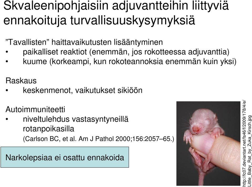 keskenmenot, vaikutukset sikiöön Autoimmuniteetti niveltulehdus vastasyntyneillä rotanpoikasilla (Carlson BC, et al.