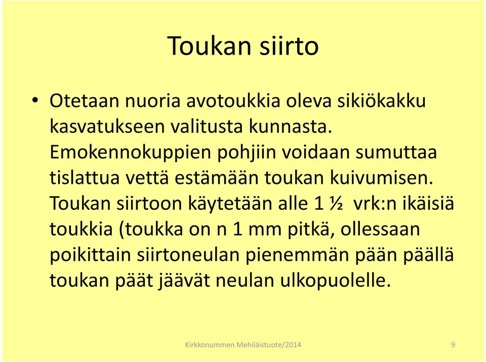 Toukan siirtoon käytetään alle 1 ½ vrk:n ikäisiä toukkia (toukka on n 1 mm pitkä,