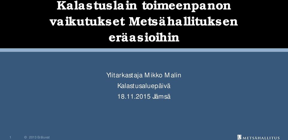 eräasioihin Ylitarkastaja Mikko