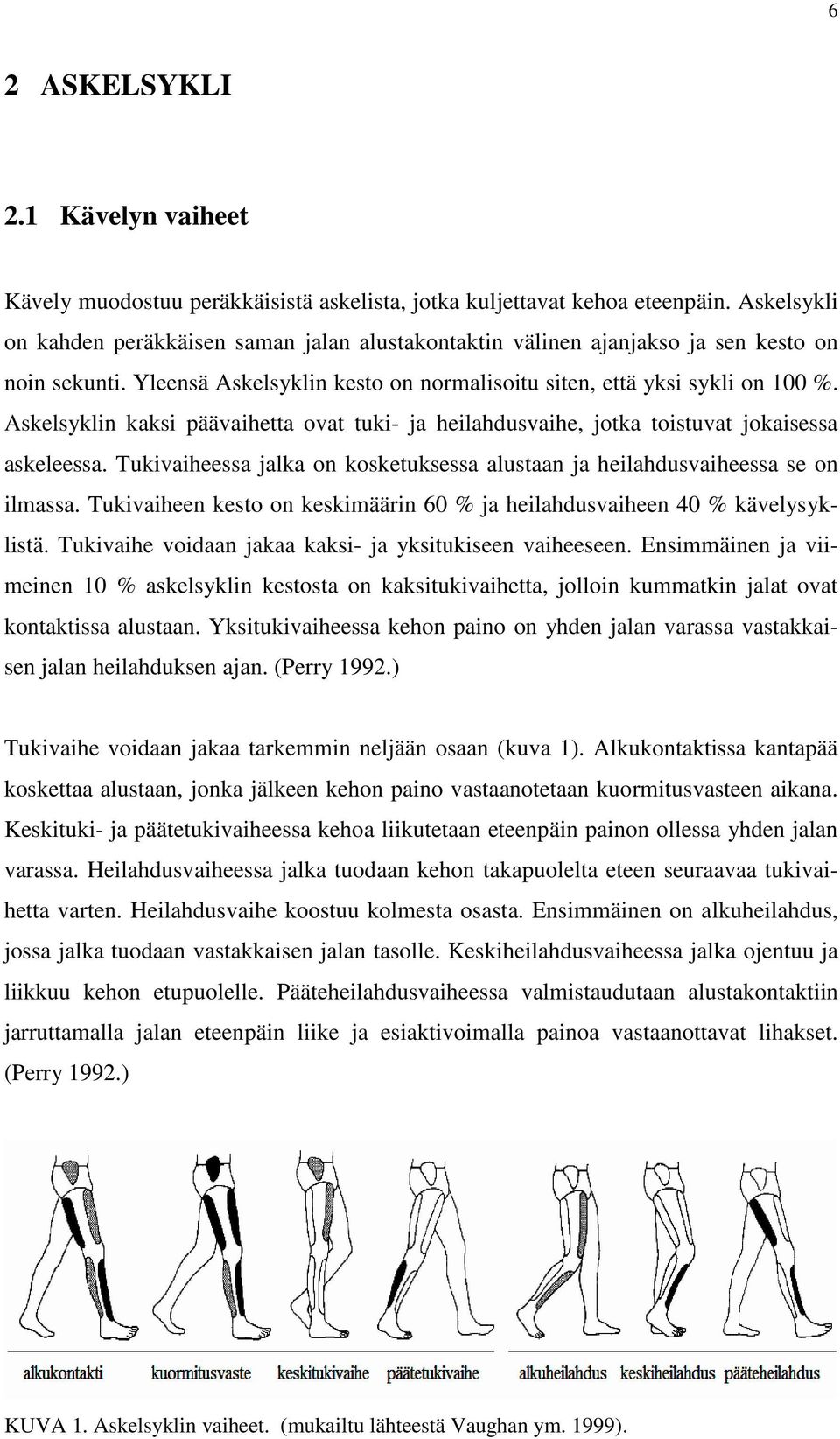 Askelsyklin kaksi päävaihetta ovat tuki- ja heilahdusvaihe, jotka toistuvat jokaisessa askeleessa. Tukivaiheessa jalka on kosketuksessa alustaan ja heilahdusvaiheessa se on ilmassa.