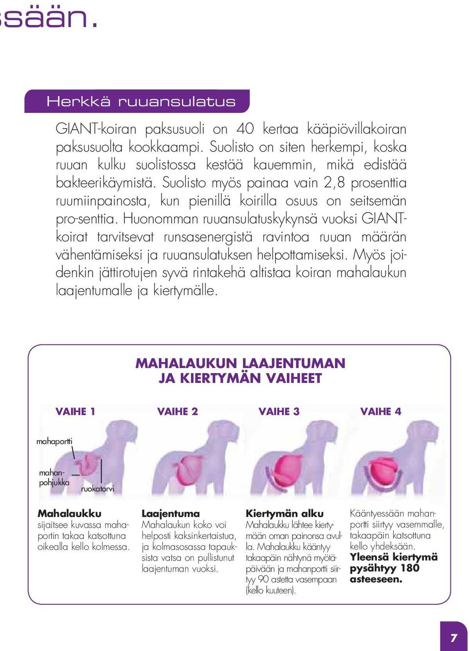 Suolisto myös painaa vain 2,8 prosenttia ruumiinpainosta, kun pienillä koirilla osuus on seitsemän pro-senttia.